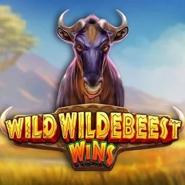 Wild Wildebeest Wins logo by Pragmatic Play at SpinoGambino Casino